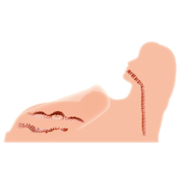 Мастурбатор Kokos Hera 3 2WayPlus з функцією масажу та вібрацією - - фото №4