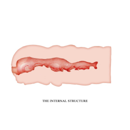 Мастурбатор Crazy Bull Isabel Pocket Masturbator - - фото №6