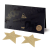 Пестіс - стикини Bijoux Indiscrets - Flash Star Gold, наклейки на соски 