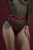 Гартери Feral Feelings - Belt Briefs, трусики, натуральна шкіра, колір червоний - фото