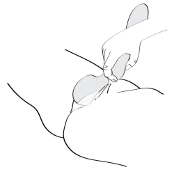 Вібромасажер Shunga Zoa Raspberry, двосторонній - - фото №7