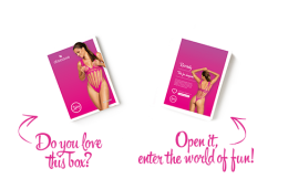 Сітчастий бодістокінг із поздовжніми вирізами Obsessive B121 teddy S/M/L, рожевий - - фото №7