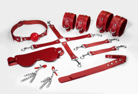 Набір Feral Feelings BDSM Kit 7 Red, наручники, поножі, конектор, маска, падл, кляп, затискачі - фото