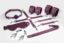 Набір Feral Feelings BDSM Kit 7 Burgundy, наручники, поножі, конектор, маска, падл, кляп, затискачі - фото