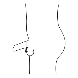 Ерекційне кільце-ласо Nexus FORGE, діаметр регулюється - - фото №4