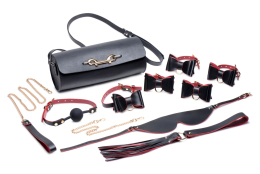 Набір БДСМ з дорожньою сумкою Master Series: Bow — Luxury BDSM Set With Travel Bag, 11 предметів - фото