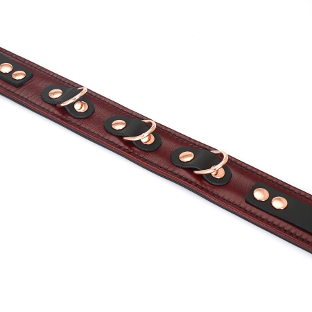Шкіряний нашийник з повідцем Liebe Seele Wine Red Collar and Leash, 3 кільця для кріплення №8