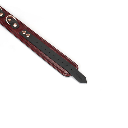 Шкіряний нашийник з повідцем Liebe Seele Wine Red Collar and Leash, 3 кільця для кріплення №6