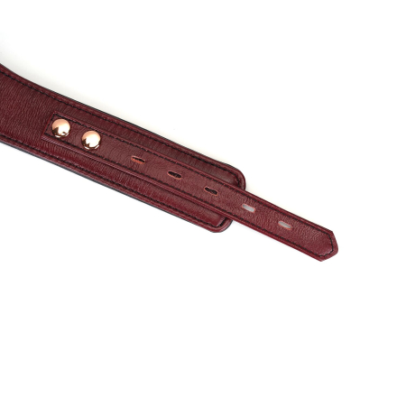 Шкіряний нашийник з повідцем Liebe Seele Wine Red Curved Collar, замок-сердечко №7