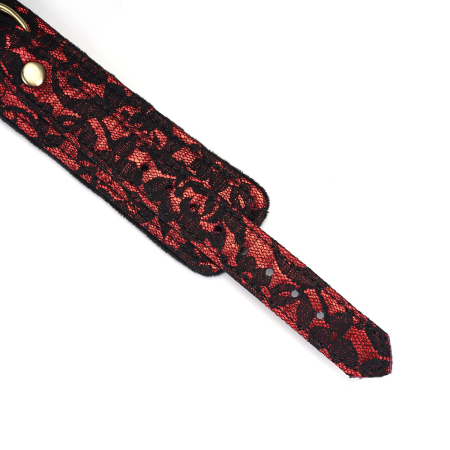 Нашийник з повідцем Liebe Seele Victorian Garden Collar with Leash №5
