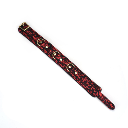 Нашийник з повідцем Liebe Seele Victorian Garden Collar with Leash №4
