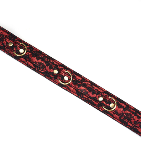 Нашийник з повідцем Liebe Seele Victorian Garden Collar with Leash №8
