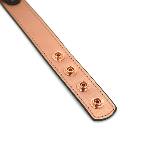 Нашийник із затискачами для сосків Liebe Seele Rose Gold Memory Collar with Nipple Clamps, шкіра - фото №4