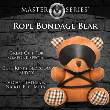 Плюшевий ведмедик ROPE Teddy Bear БДСМ у шкіряній масці та обв’язці, 22x16x12 см №4