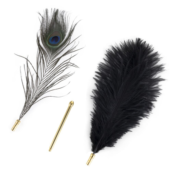 Лоскітка LOCKINK SEVANDA Natural Peacock Flirting Feather Tickler, перо павича - фото