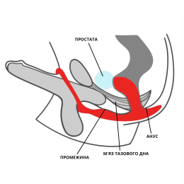 Анальна пробка з ерекційним кільцем Fun Factory BOOTIE RING slate - - фото №6