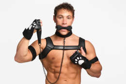 Набір BDSM цуценя Master Series Luxury Pup Arsenal Set - Black - - фото №15