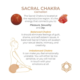 Вагінальні кульки Adrien Lastic Harmony Stones - - фото №15