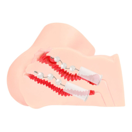 Мастурбатор Kokos 001 Adel ONAHOLE Real Vagina 2WayPlus з функцією масажу та вібрацією - - фото №3