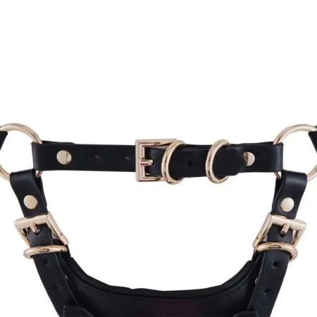 Сбруя зі страпоном LOCKINK SEVANDA Queen Sheba Set with Pink Dildo - фото №5