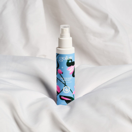 Антибактеріальний спрей для іграшок Goliate Nettoyant Sextoy 100 мл, безпечний для тіла - №2