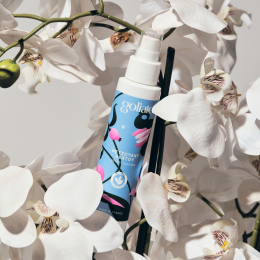 Антибактеріальний спрей для іграшок Goliate Nettoyant Sextoy 100 мл, безпечний для тіла - №9