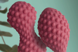 Тренажер Кегеля Unite Silicone Kegel Set - - фото №11