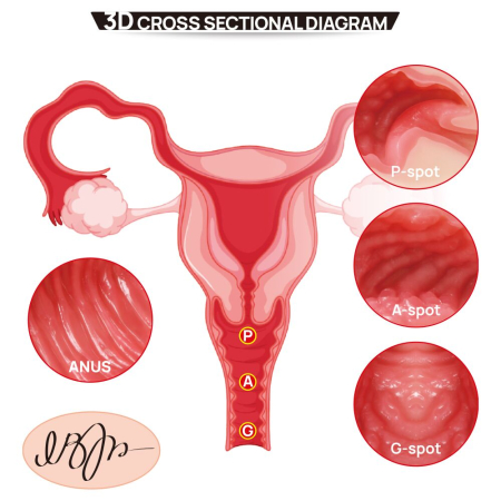 Мастурбатор Kokos 004 Vailla ONAHOLE Real Vagina - фото №12