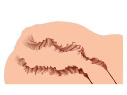 Мастурбатор-півторс Naked Factory LAURA, вагіна + анус, дуже реалістичний, наскрізний - №3