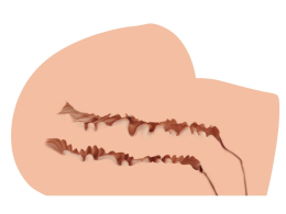 Мастурбатор-півторс Naked Factory SCARLET, вагіна + анус, вузький вхід, дуже реалістичний, наскрізний - - фото №2