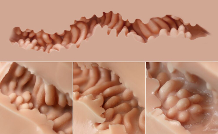 Мастурбатор-попа Naked Factory HANNAH, вагіна + анус, дуже реалістичний, наскрізний - фото №6