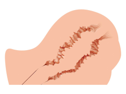 Мастурбатор-попка Naked Factory NICOLE, вагіна + анус, дуже реалістичний, наскрізний - - фото №3