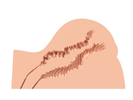 Мастурбатор-попка Naked Factory KATE, вагіна + анус, дуже реалістичний, наскрізний - - фото №3